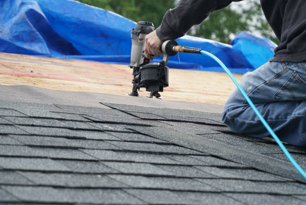 Best Flat Roof Repair Services  in Leisure City, FL