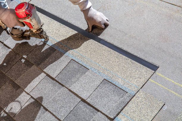 Best Roof Gutter Cleaning  in Leisure City, FL